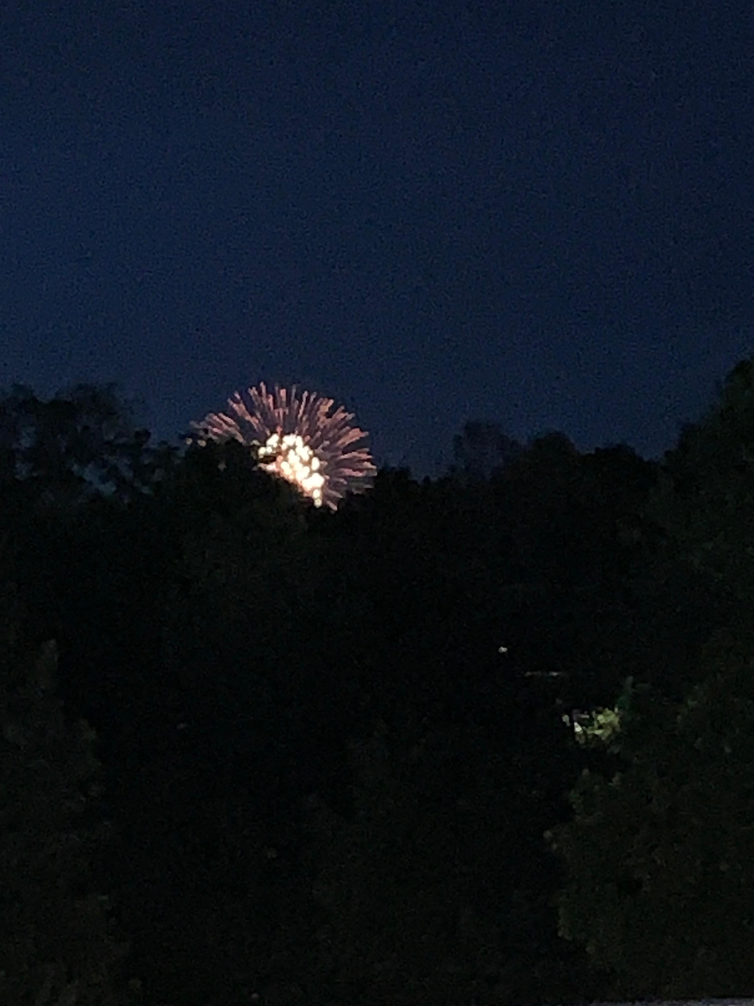 Fireworks at night
