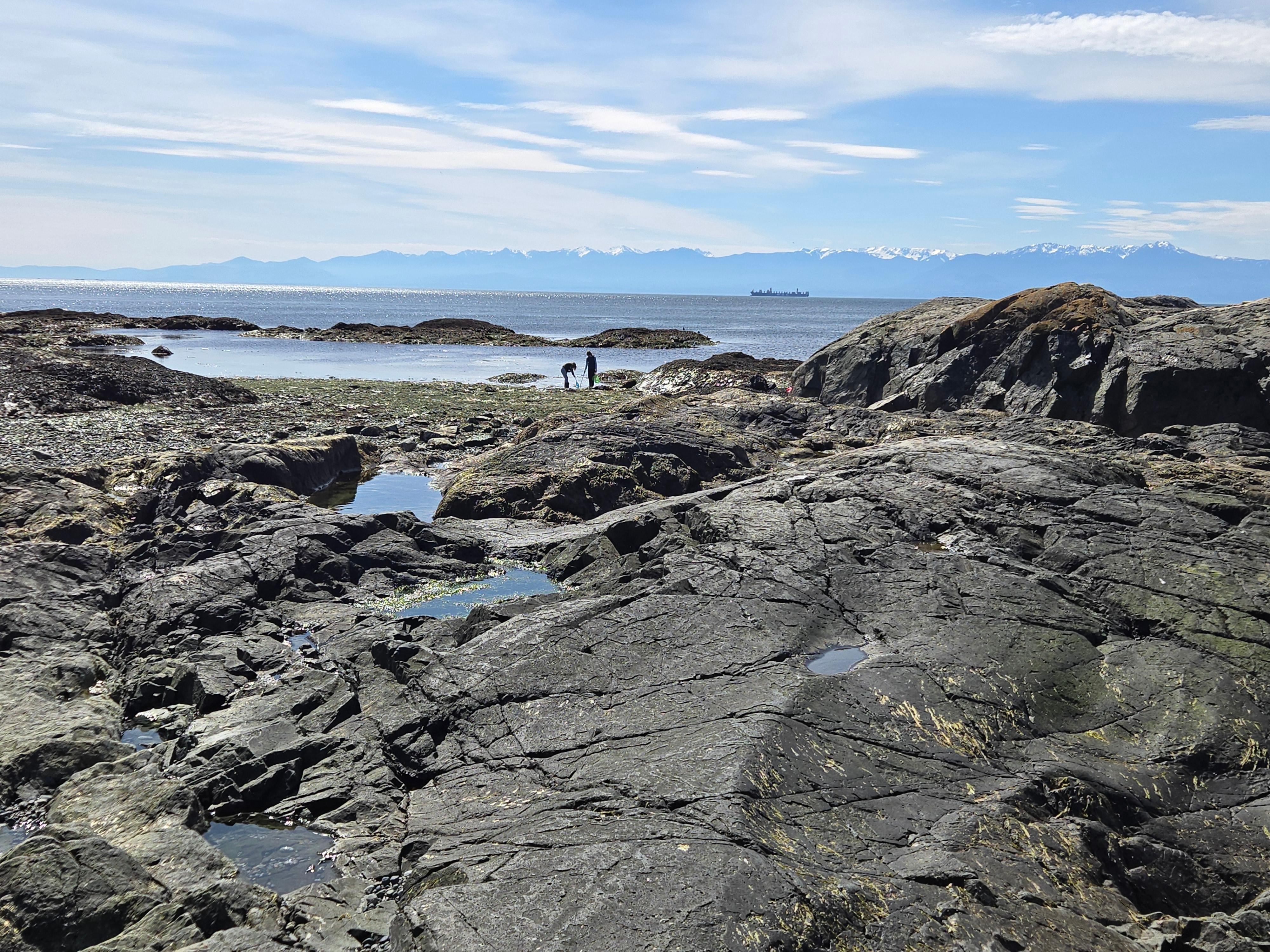 Ocean off Dallas Rd.