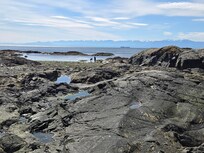 Ocean off Dallas Rd.