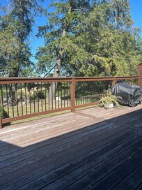 View from the back porch