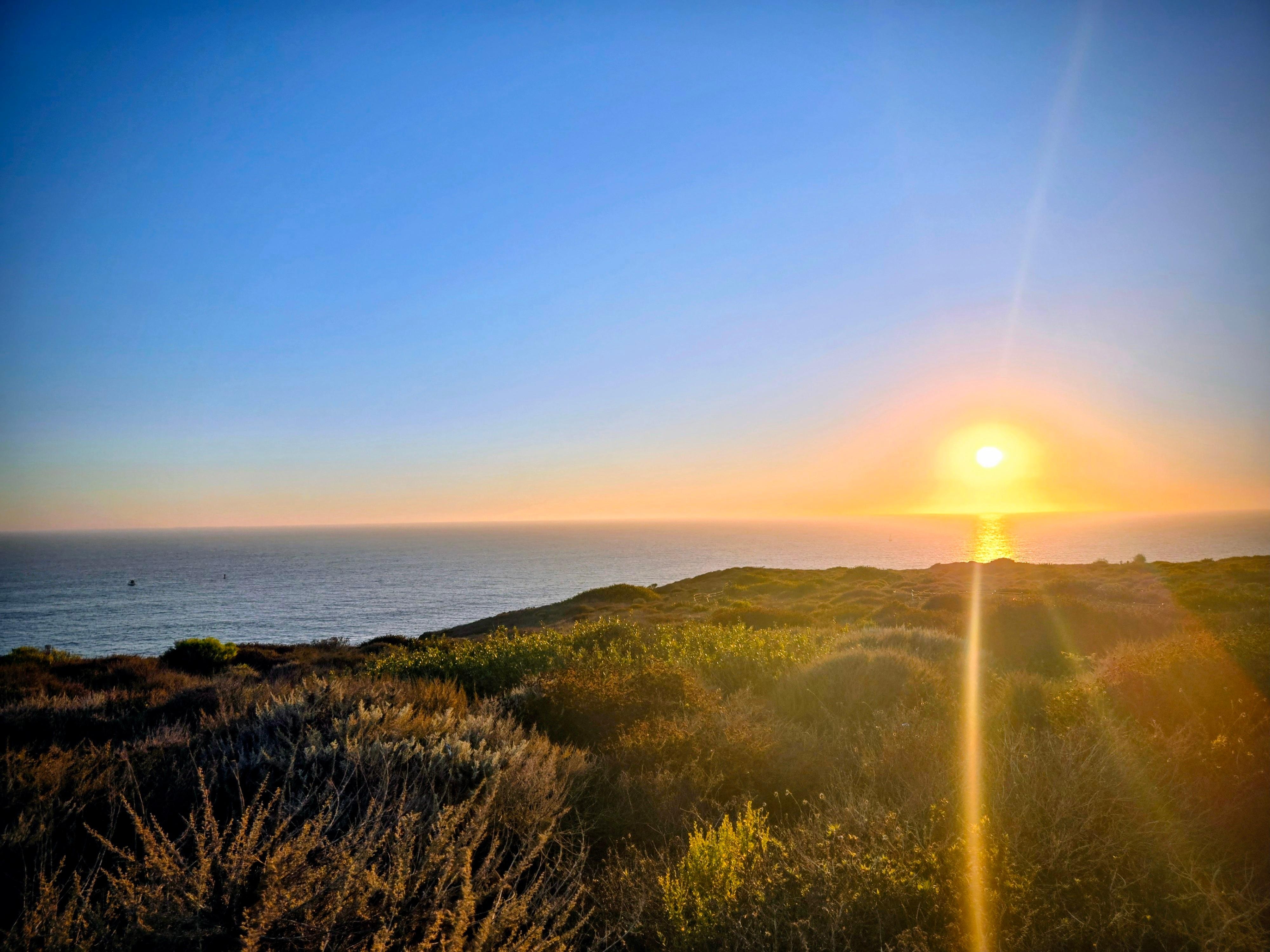 Preserve hike view, right next to house. 