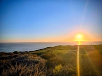 Preserve hike view, right next to house.