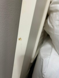 Booger on bed frame