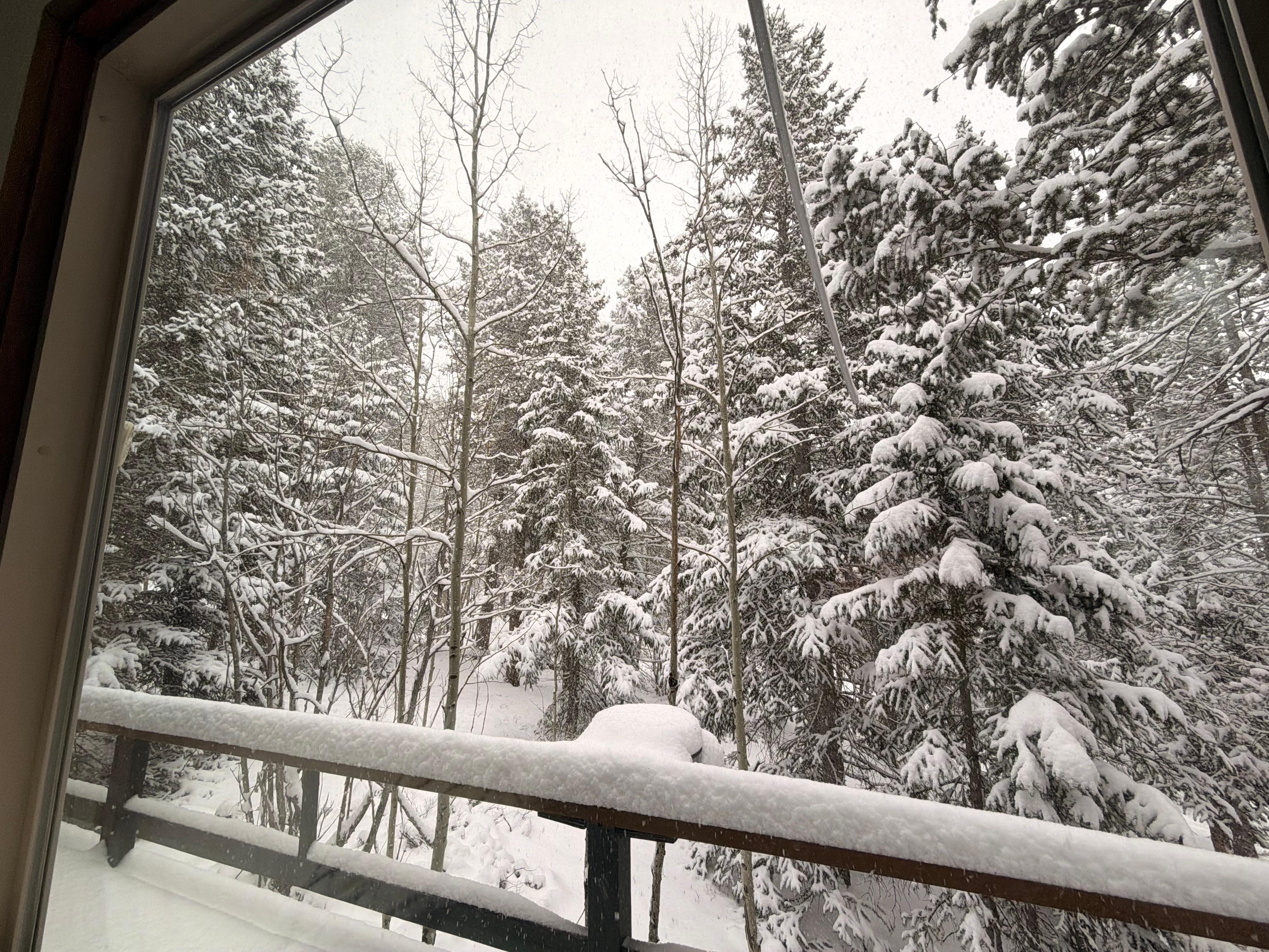 Beautiful views of forests. 