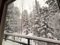 Beautiful views of forests.