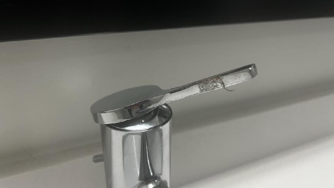 Crud on most handles including the entry door