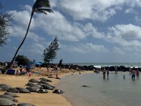 Poipu Beach with honu