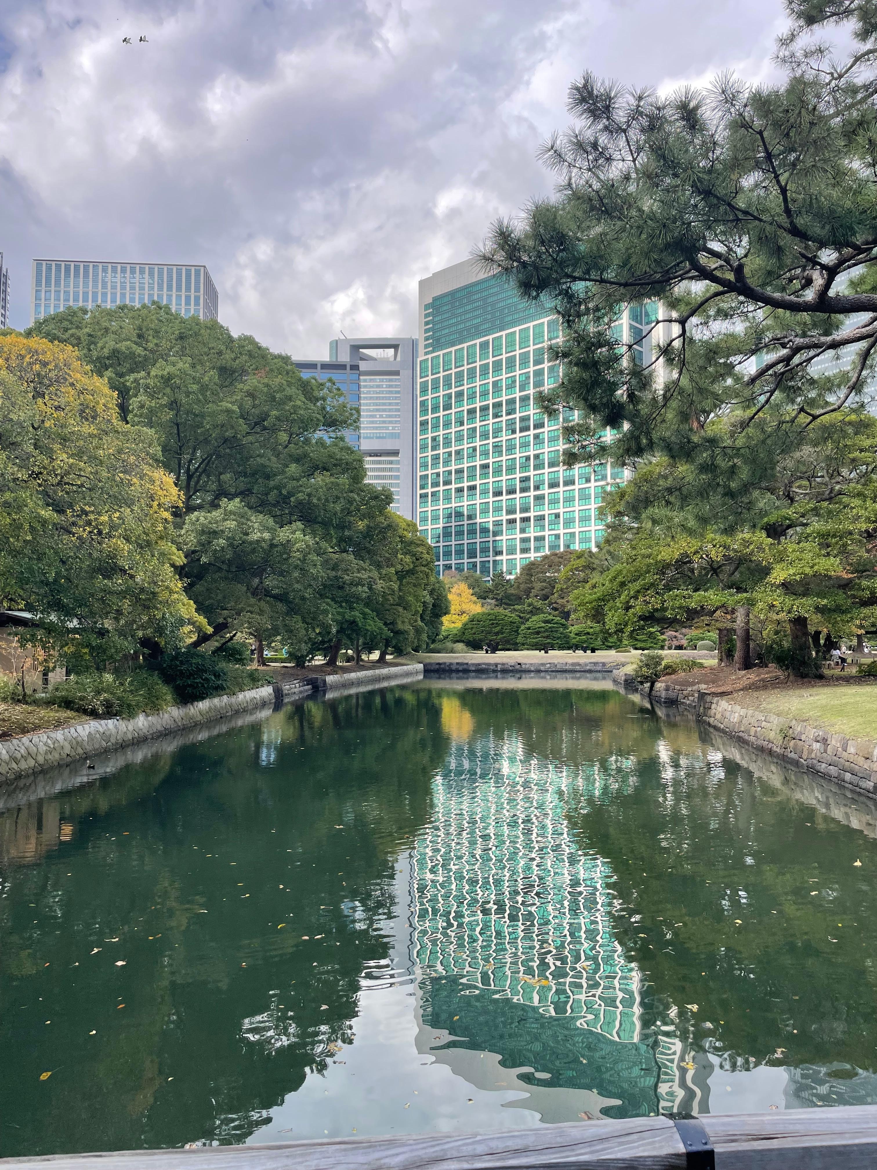 Close to many different activities such as parks, eateries, and activities. 