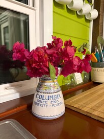 Fresh native flowers greeted us.