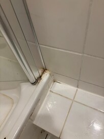 Corner of shower with a bunch of dirt/mold