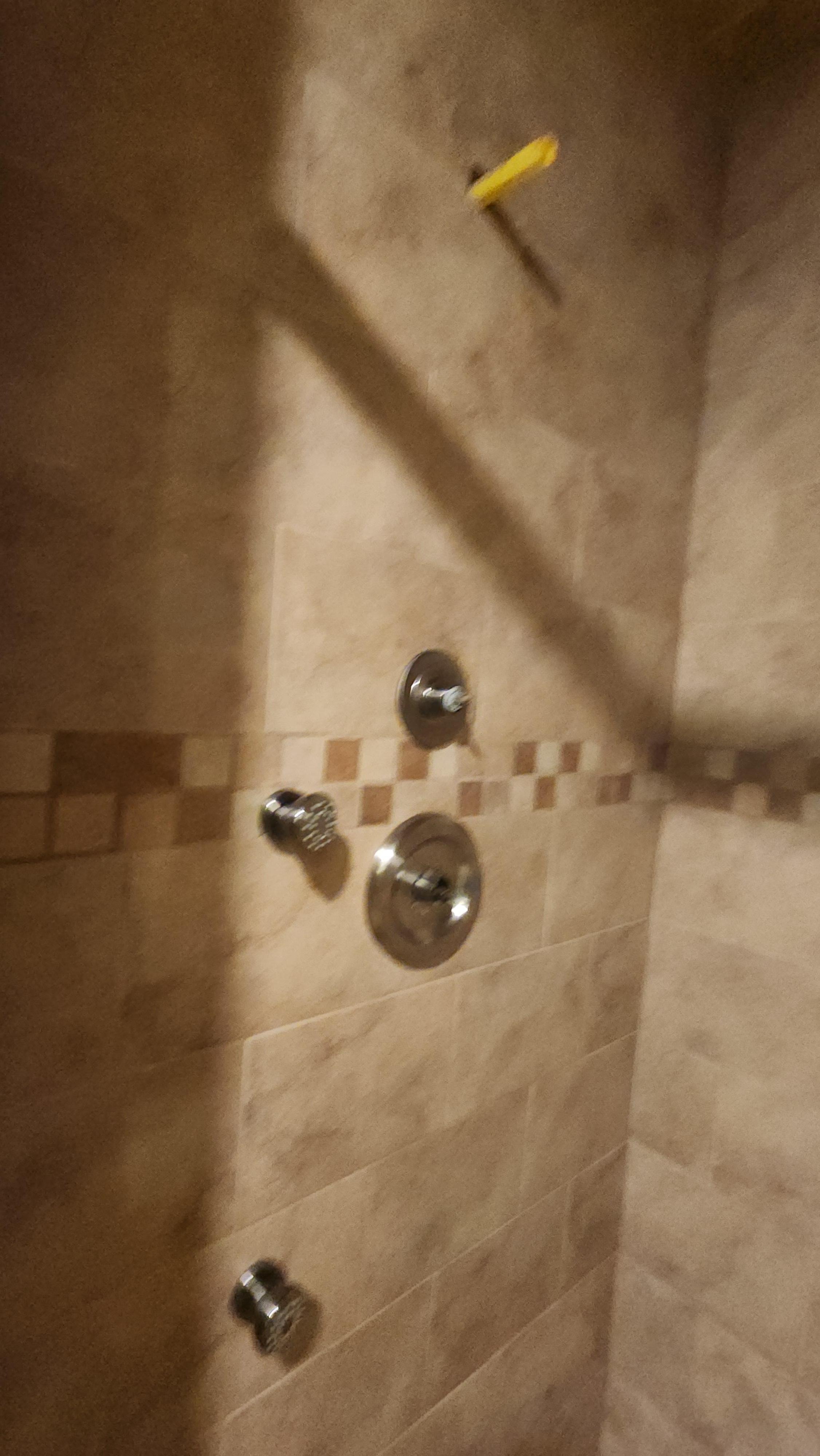 Master shower missing showerhead and knobs