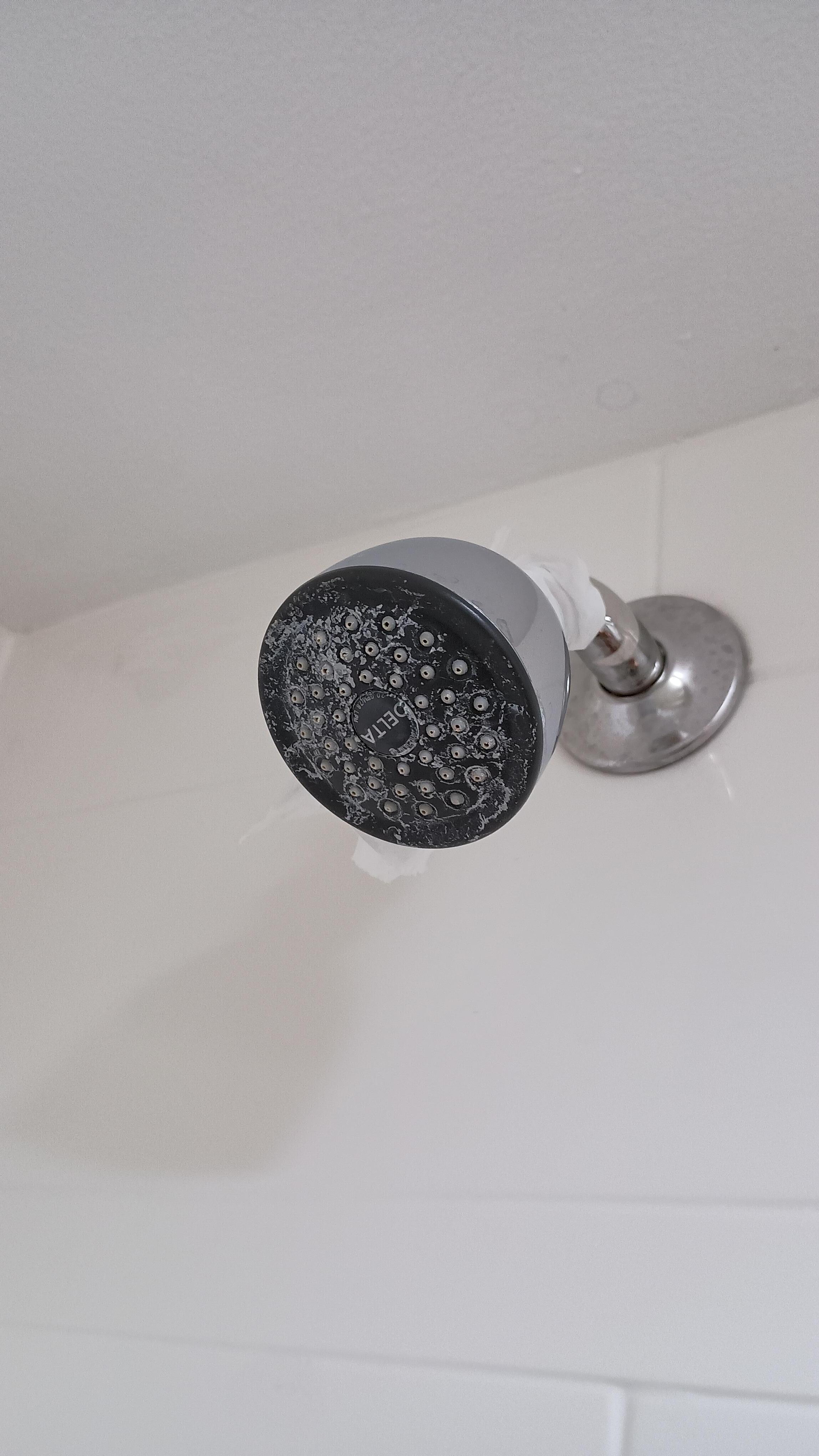 Shower head 