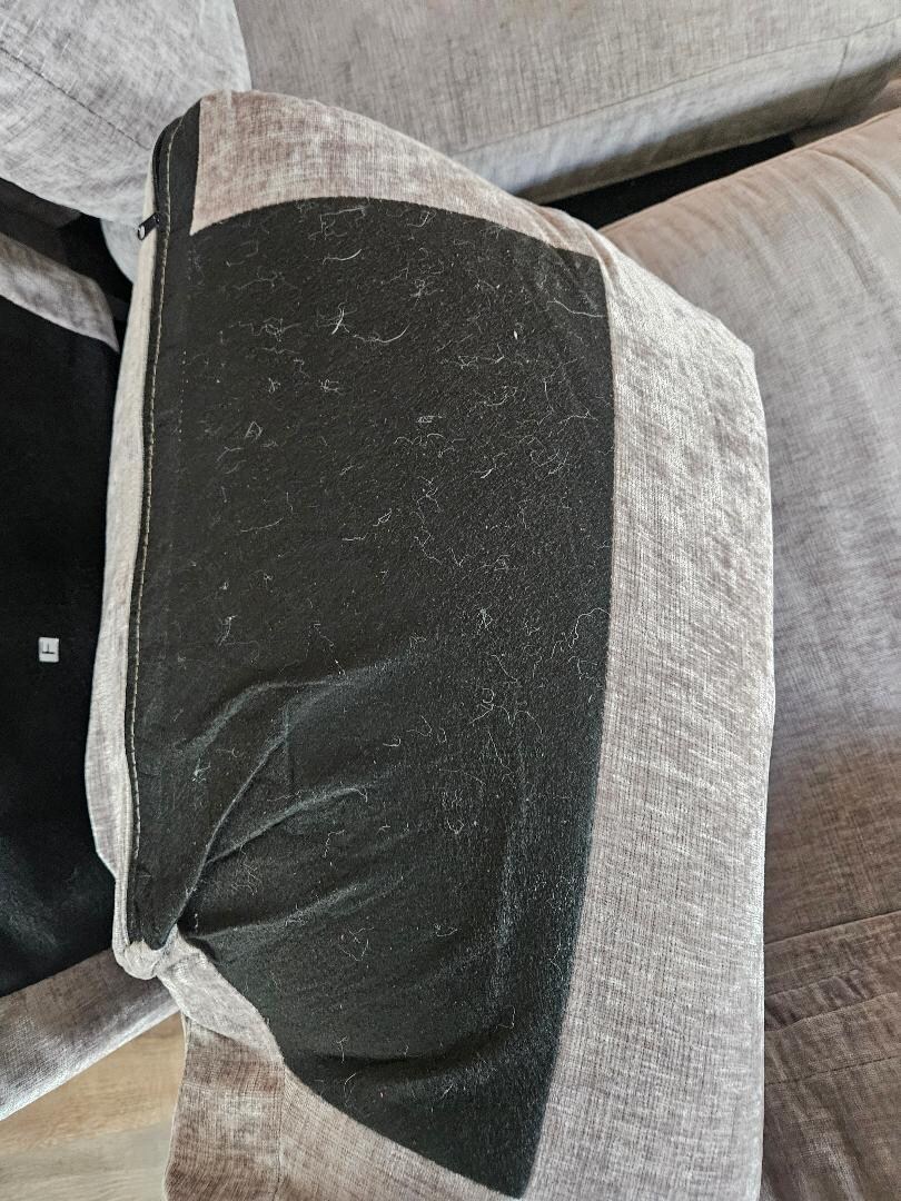 Dirty sofa cushion