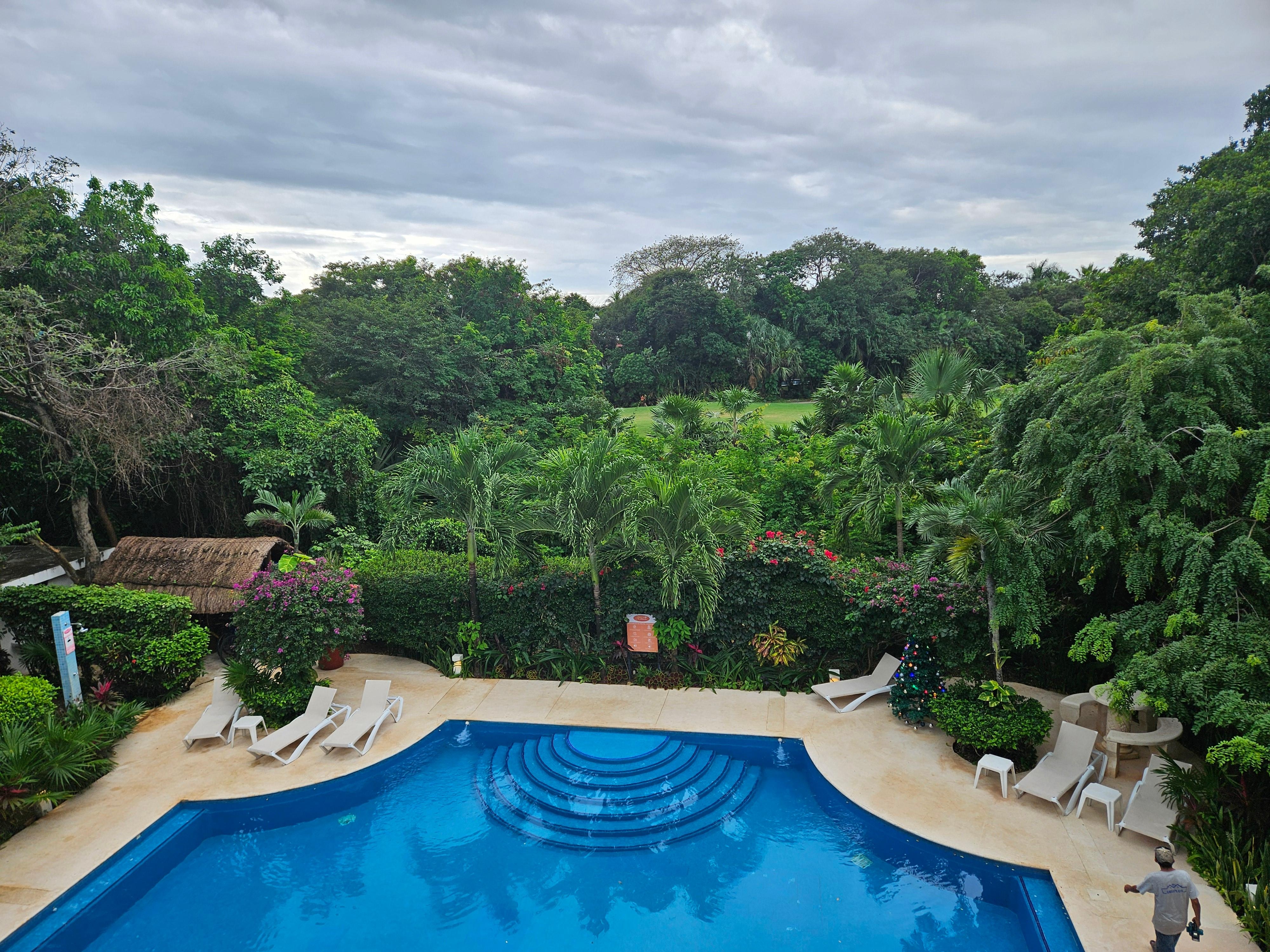 Beautiful view of the pool and lush scenery. 