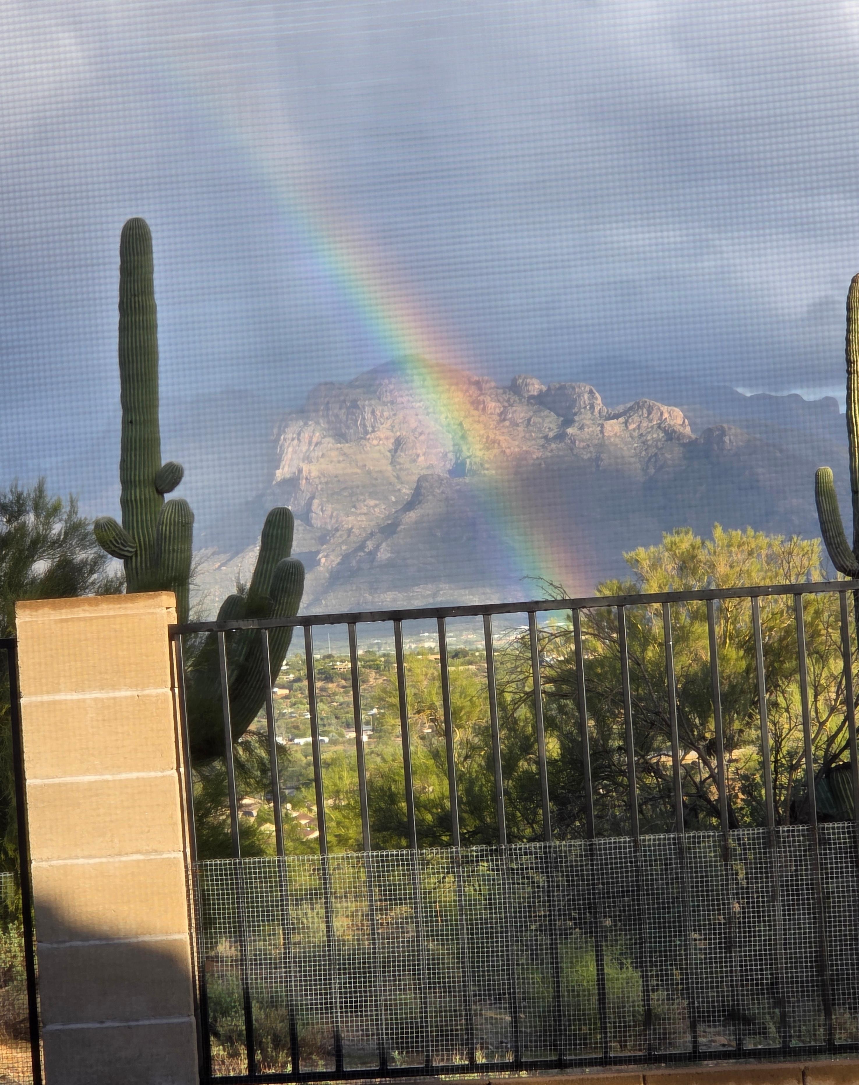 Rainbow in the desert