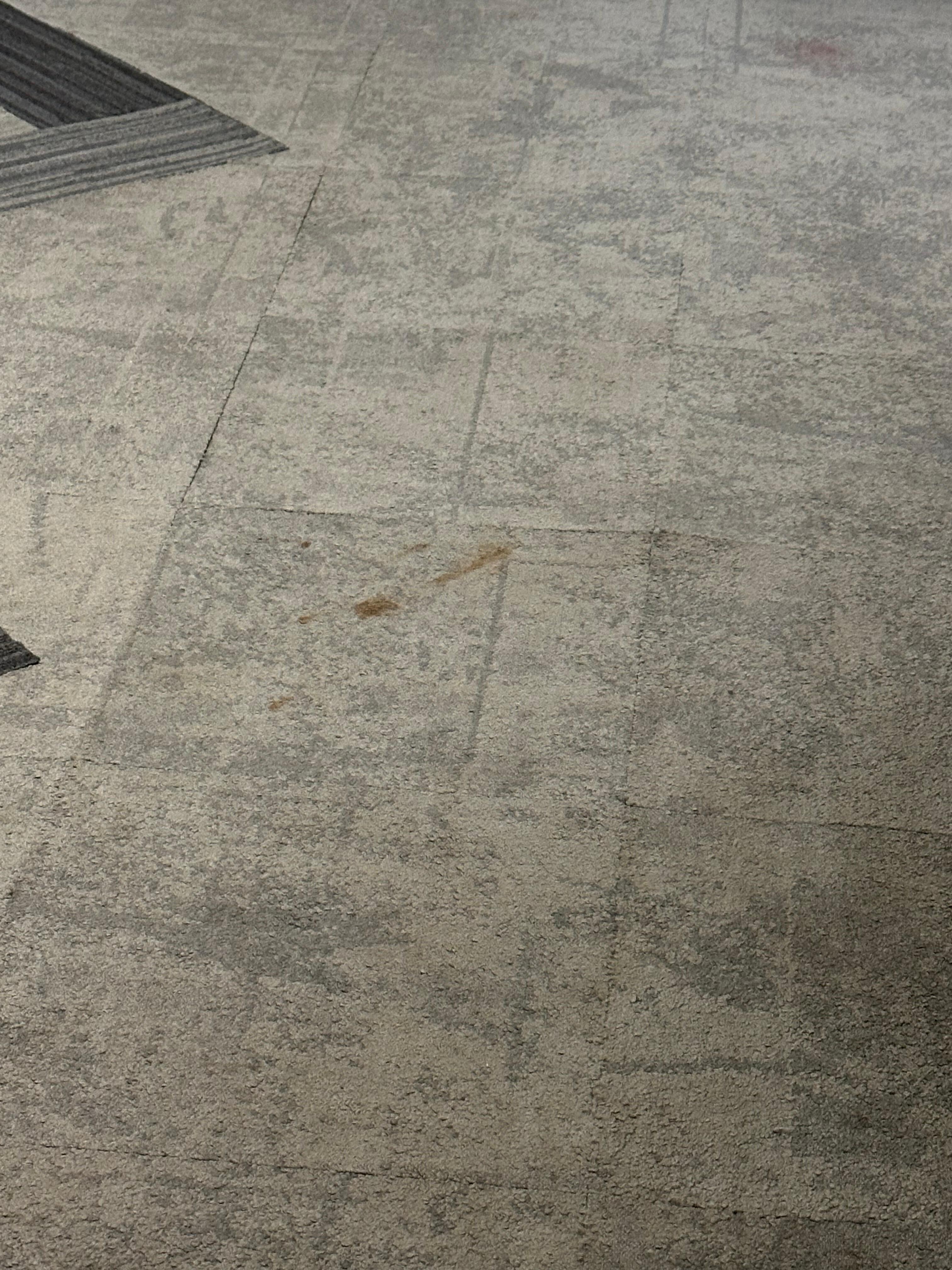 More dog poop remnants 