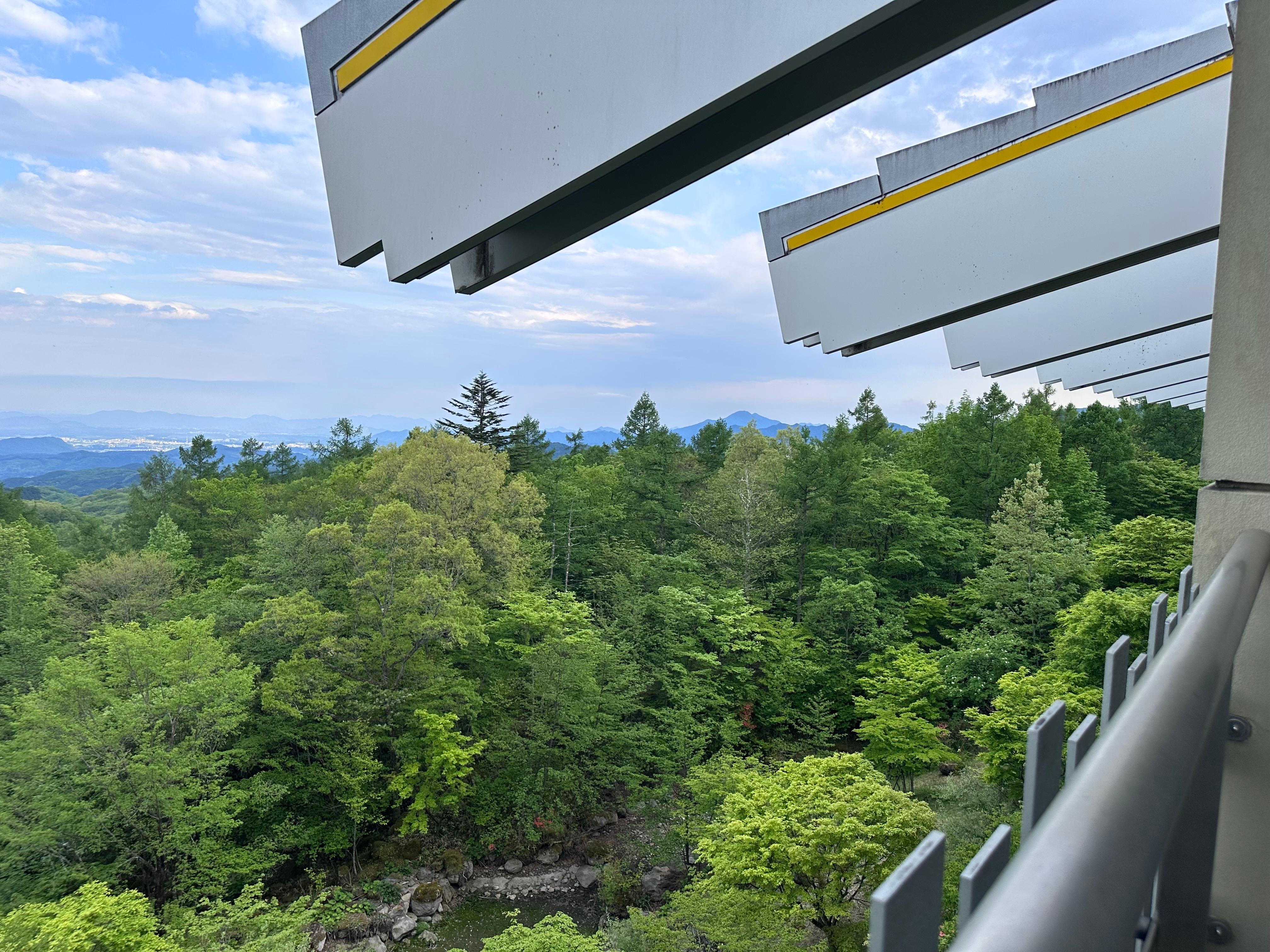 Room view