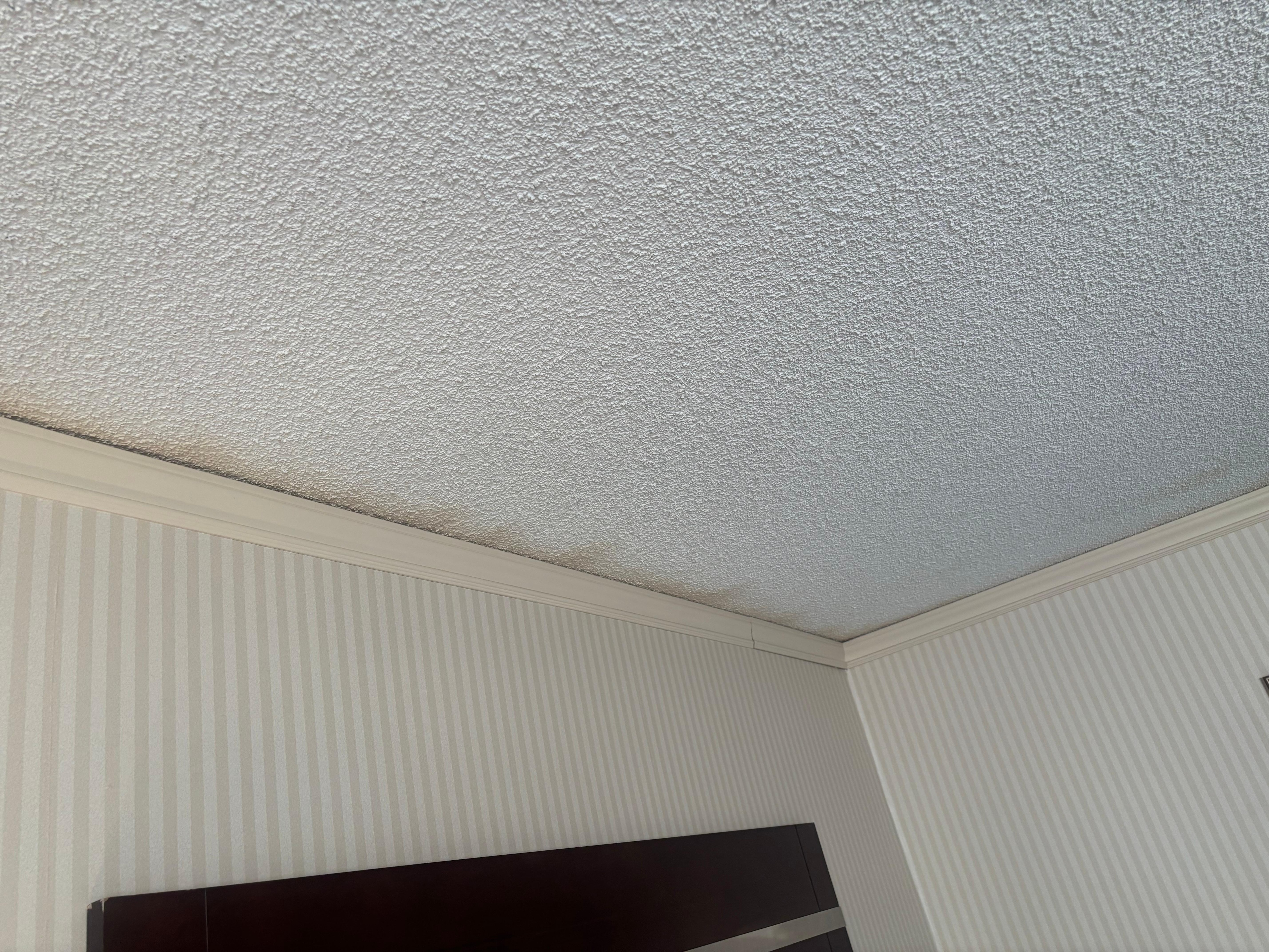 More ceiling staining