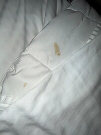 Dirty bed. We slept on top of covers. No housekeeping, no management, no options.