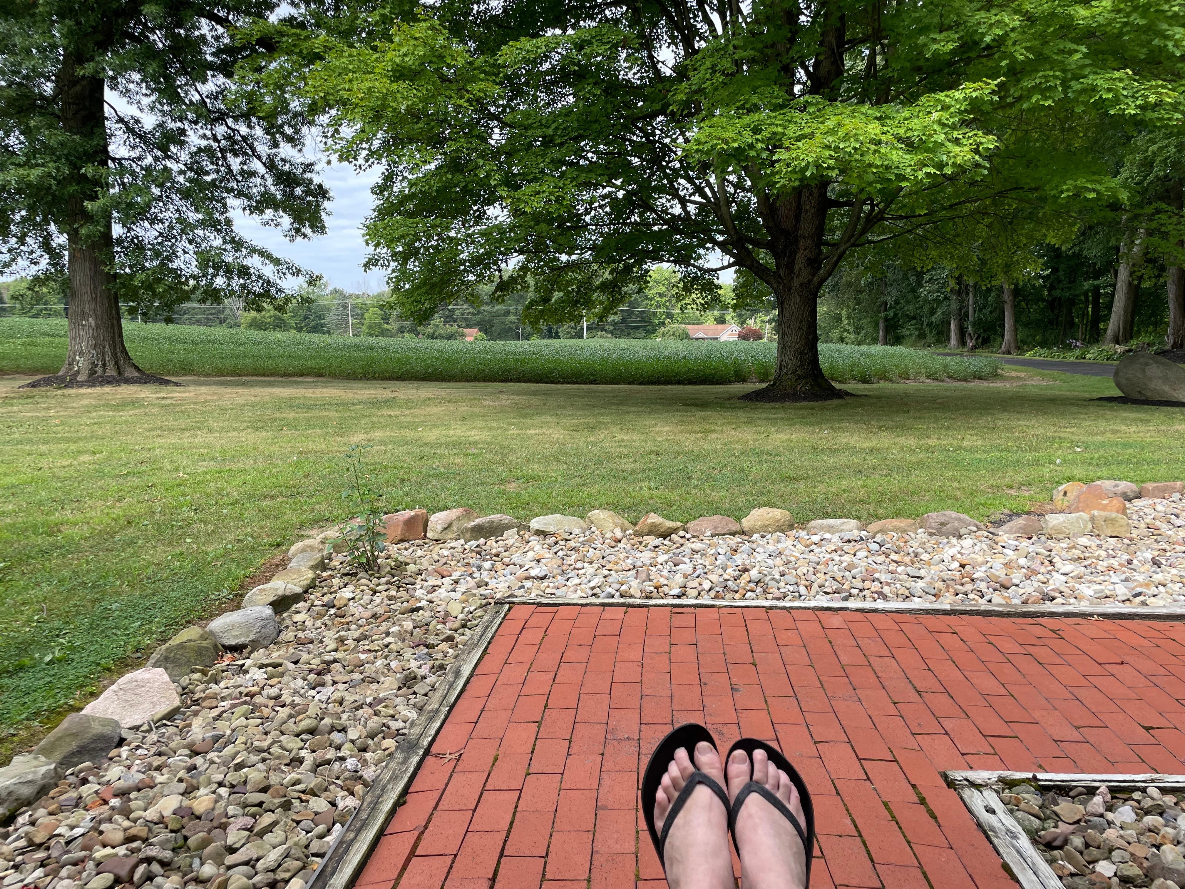 Morning coffee and a view