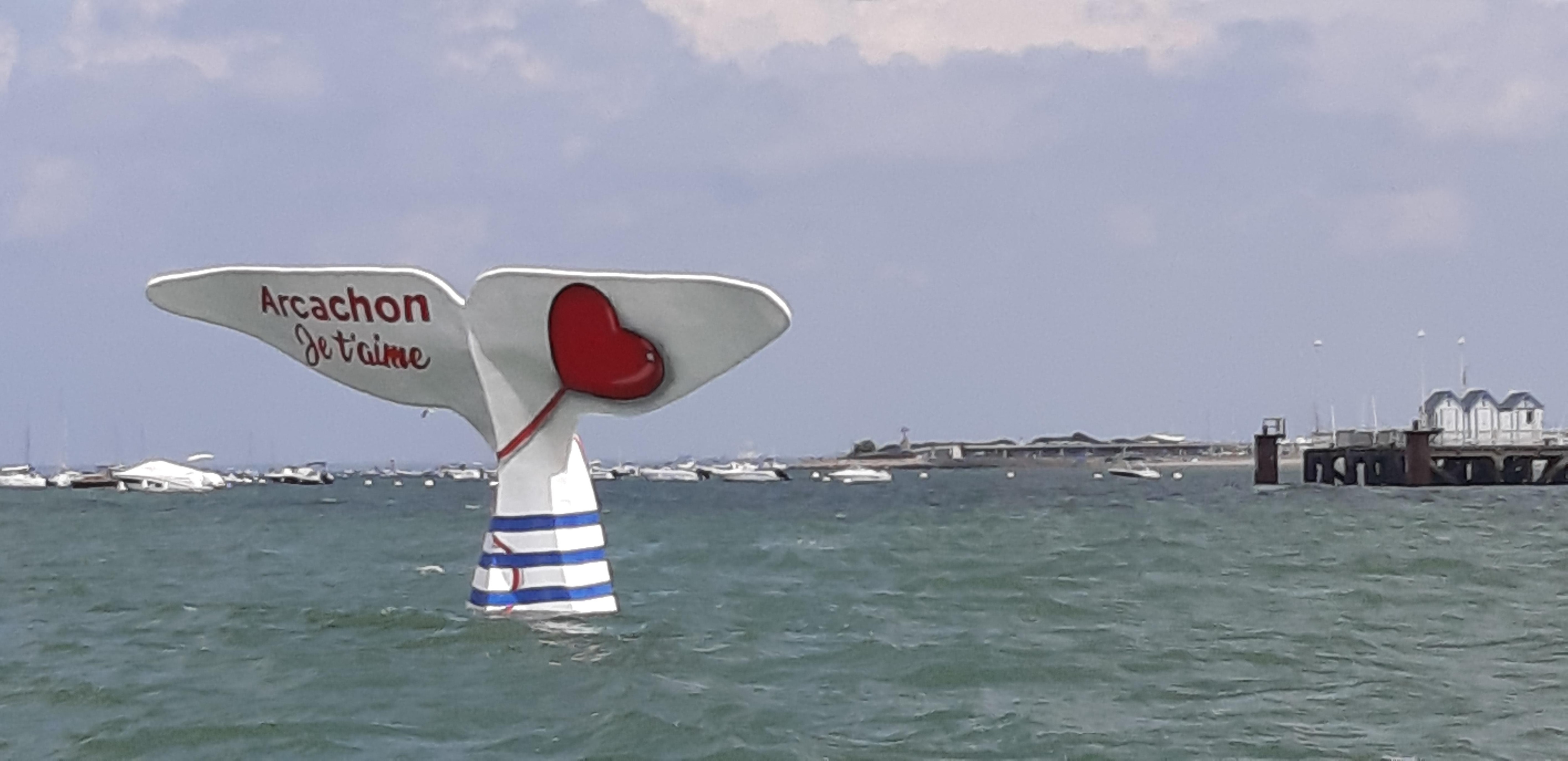 Arcachon (jetée du Thiers avec sa queue de baleine)