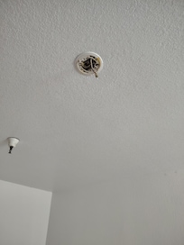 No smoke detector