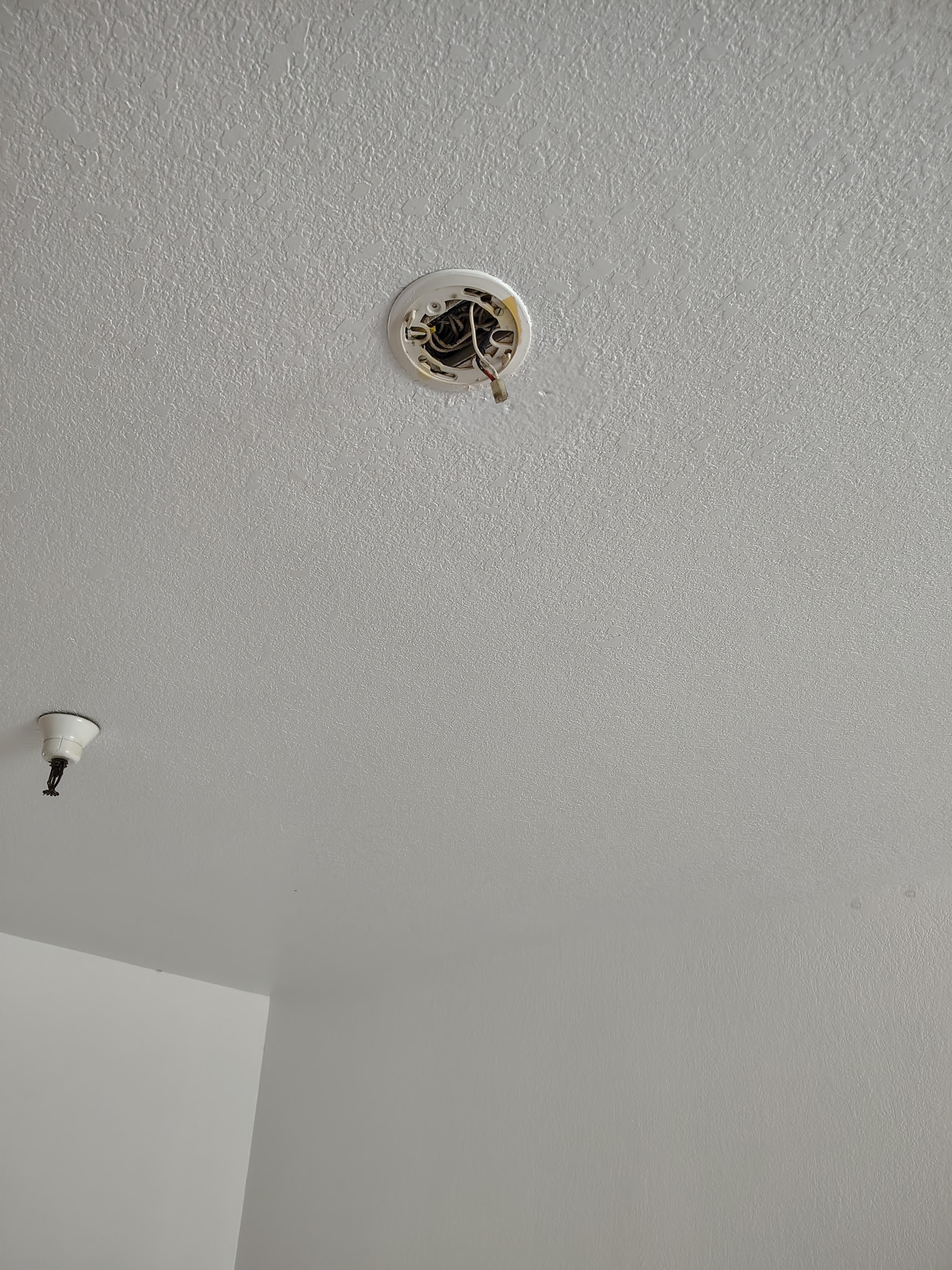 No smoke detector