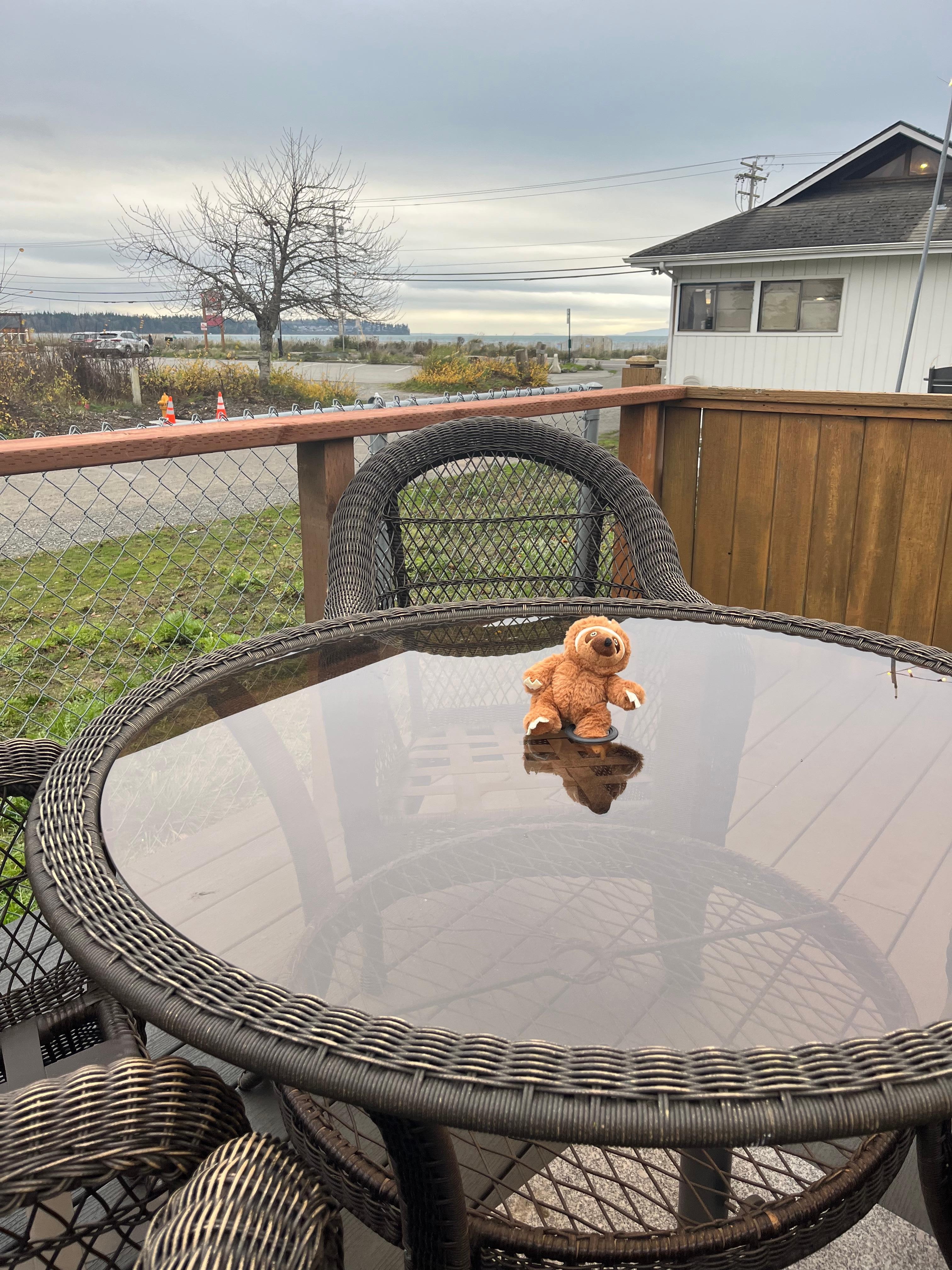 My “Elvis Slothello” travels with us everywhere ❣️