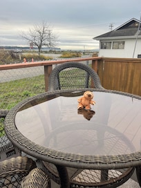 My “Elvis Slothello” travels with us everywhere ❣️