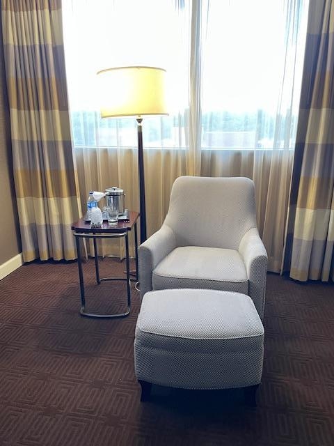 Comfy chair and ottoman