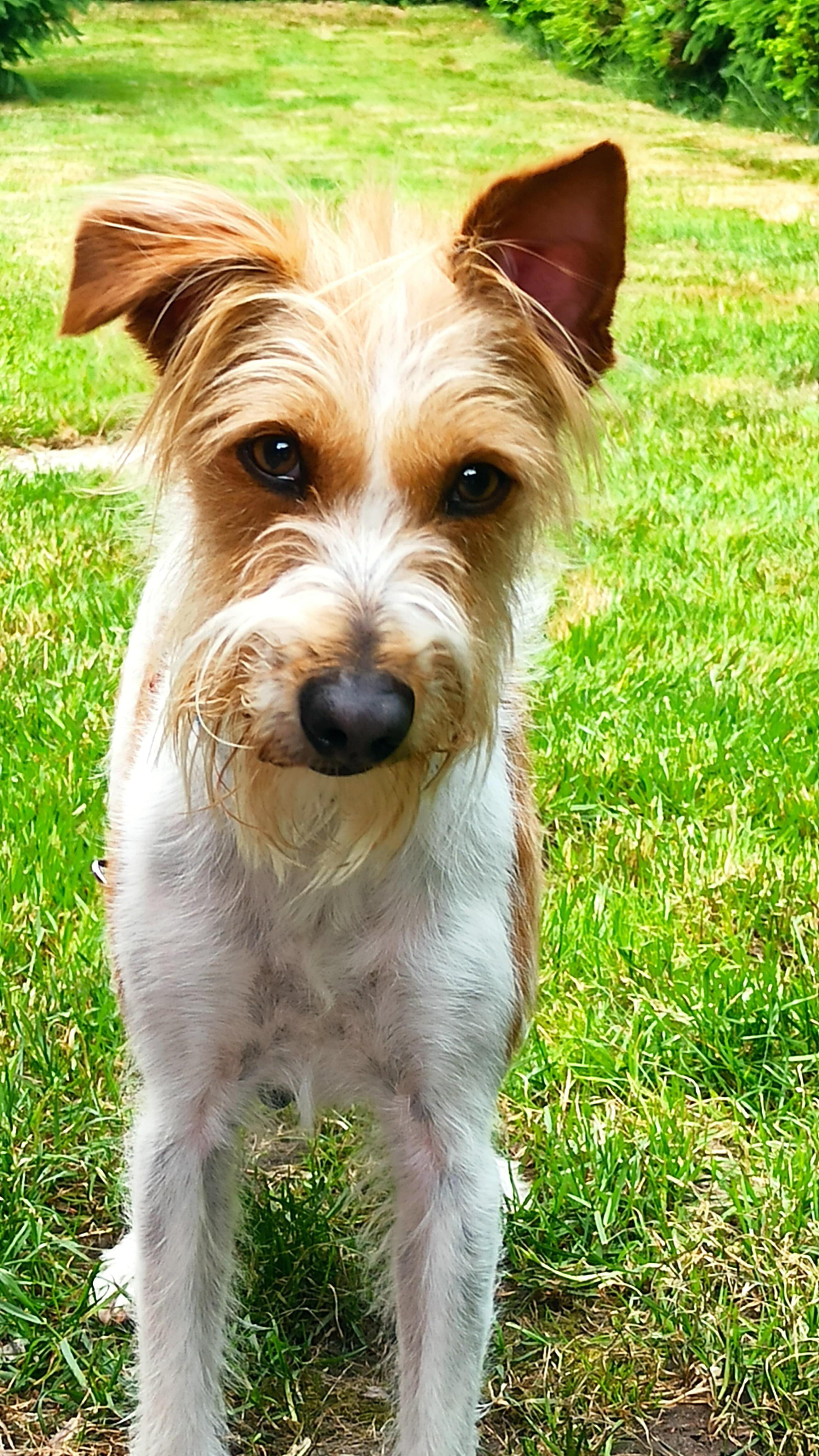 Heidi hat es sehr gut gefallen