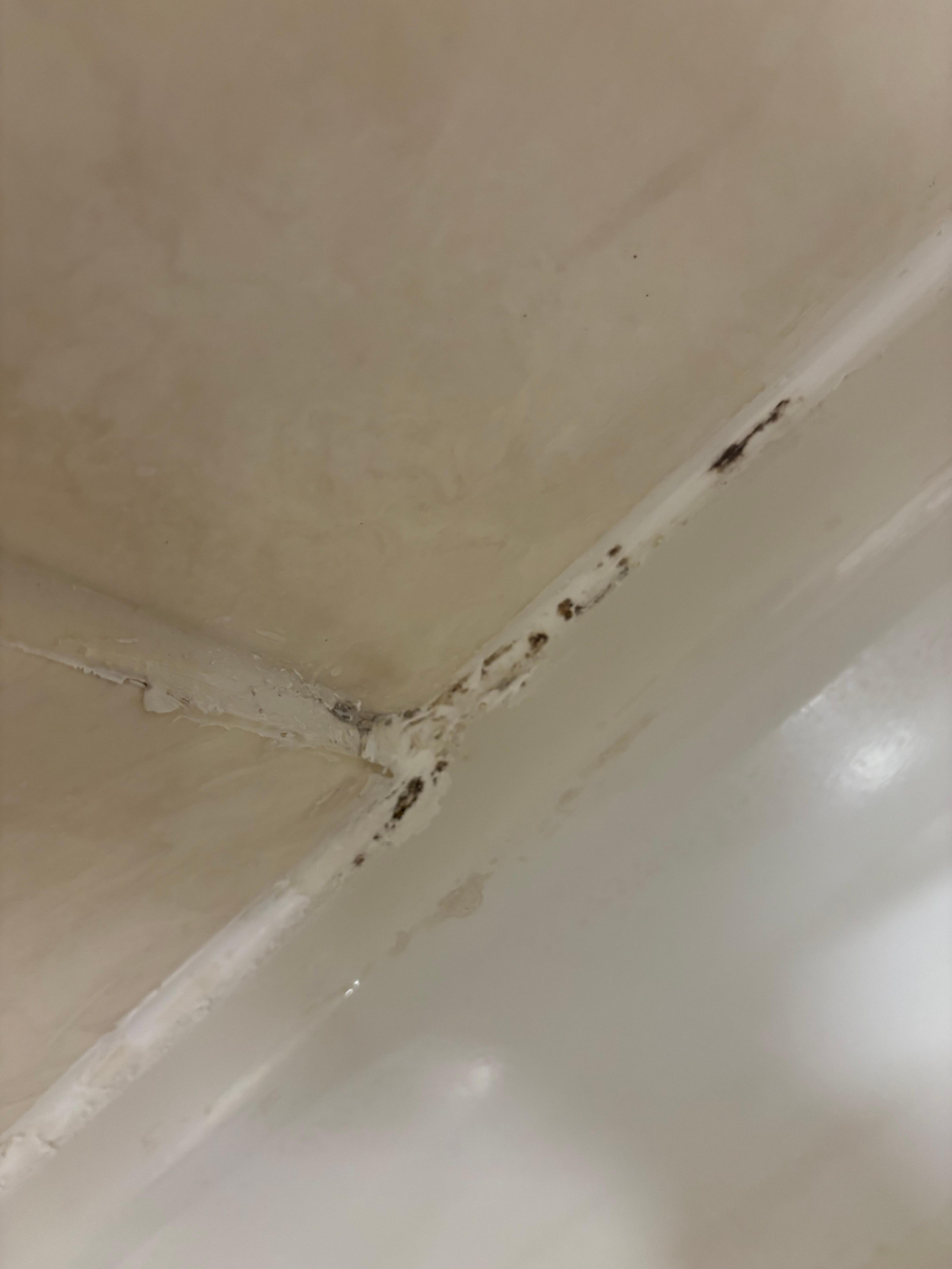 Mold in shower