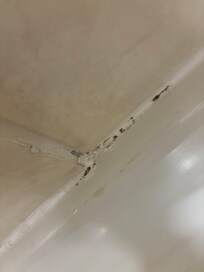 Mold in shower
