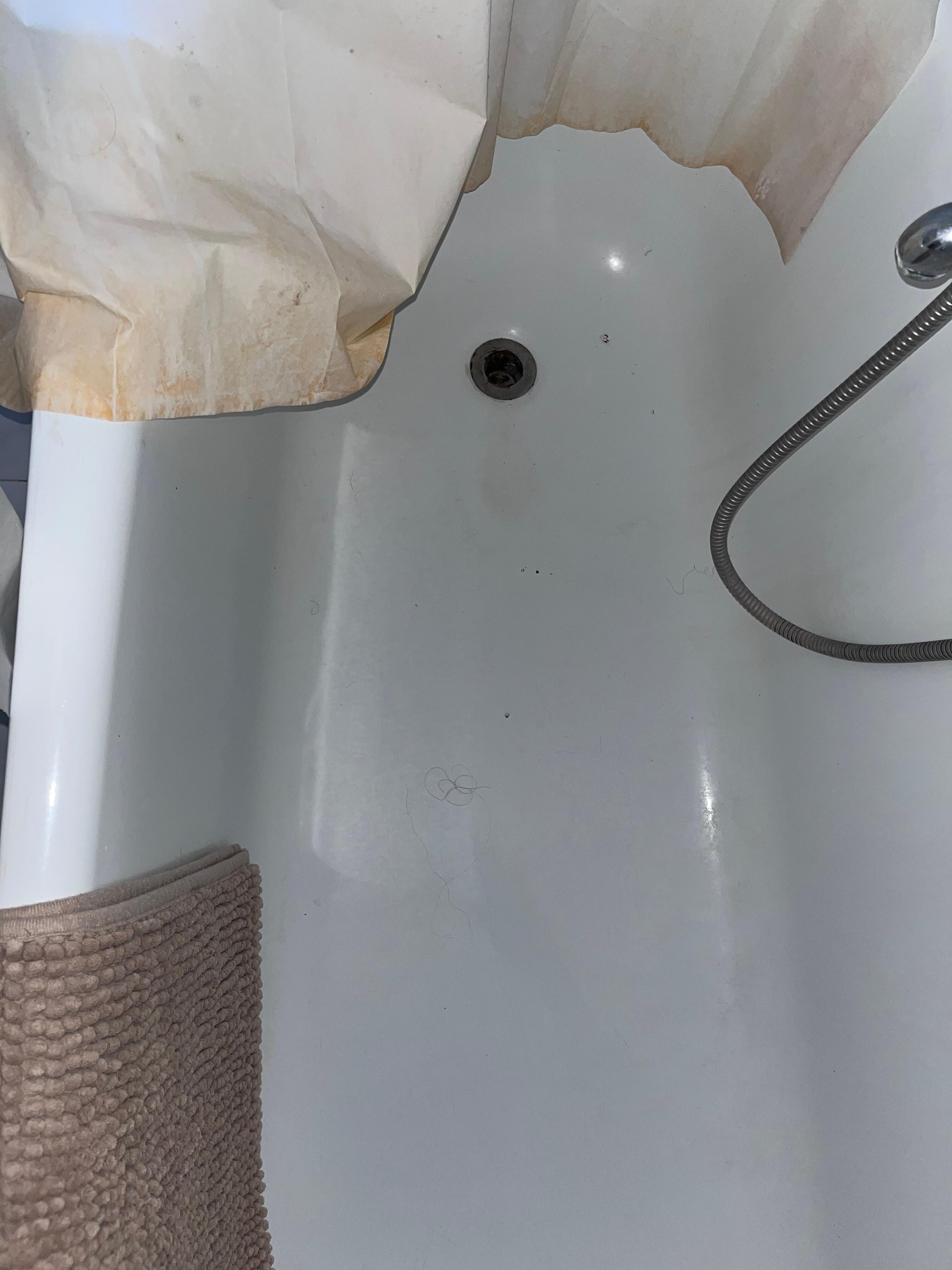 uncleaned tub, hair filled drain, stained curtain