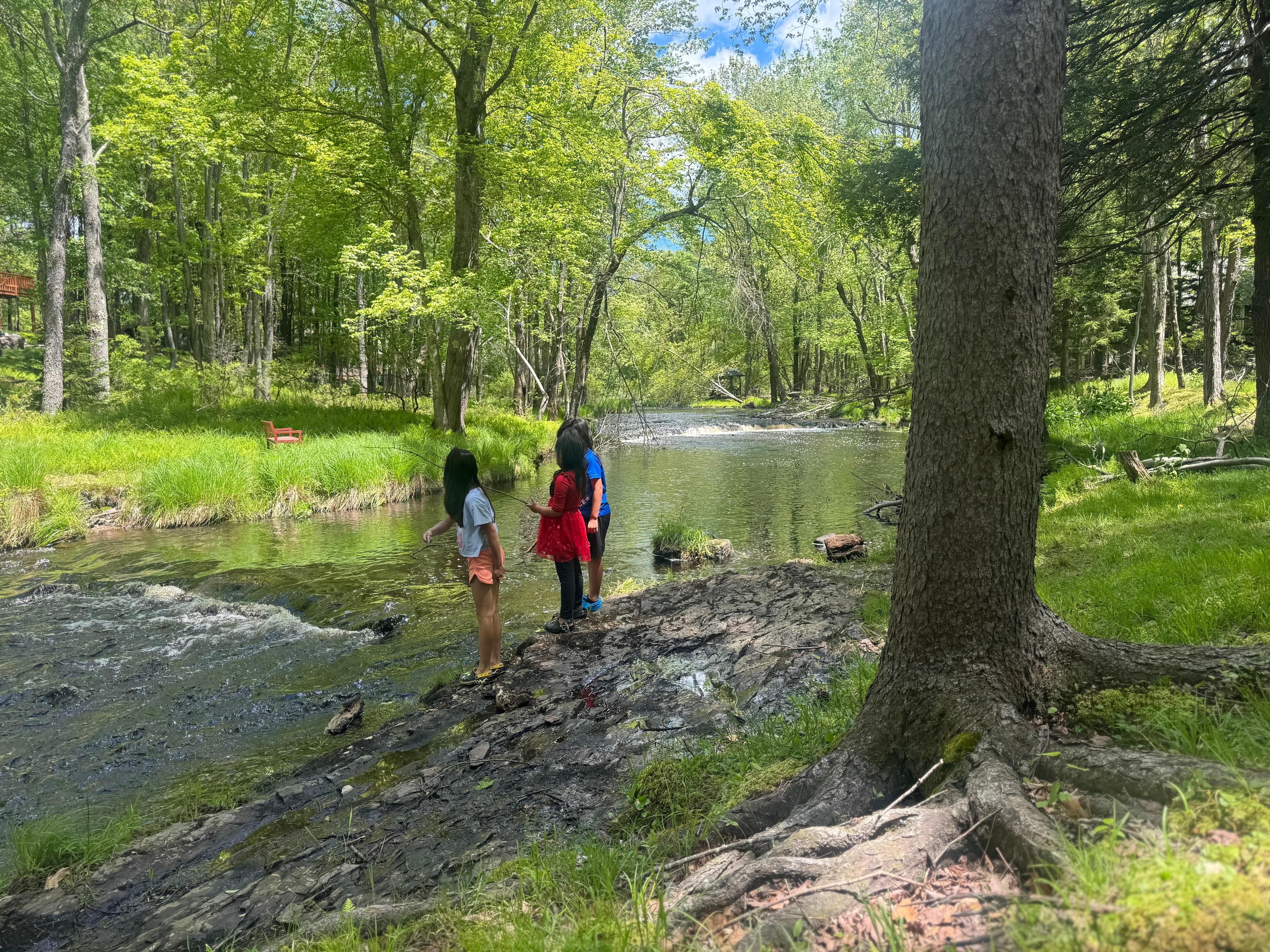 Kids enjoy by the river !