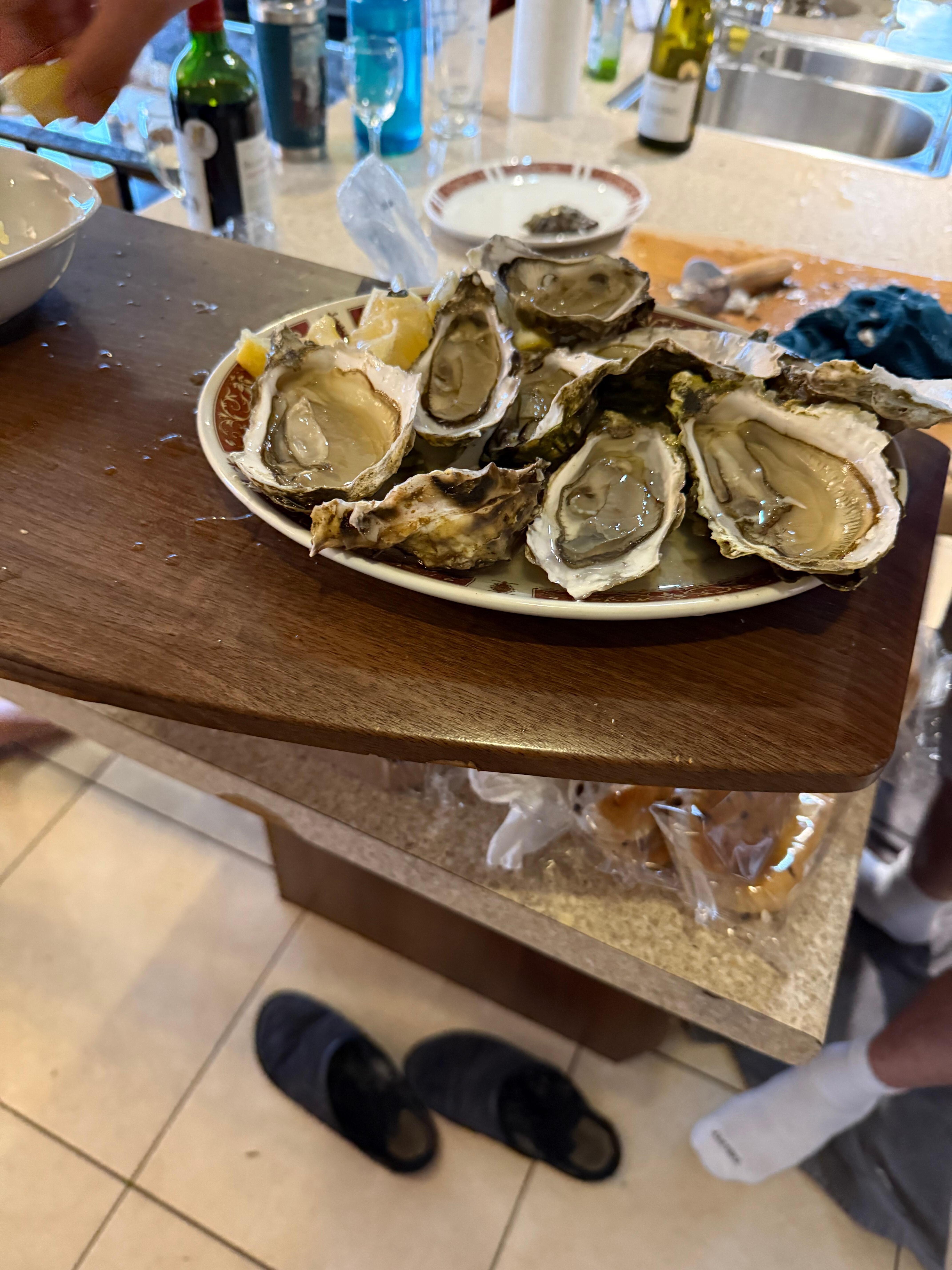 Our evening in with local oysters 