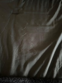 Dog hair
