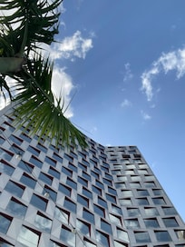 Hotel Indigo (from one of the pool benches)