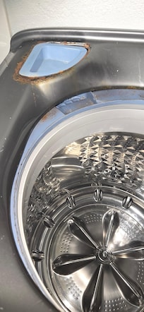 Disgusting washer with mold