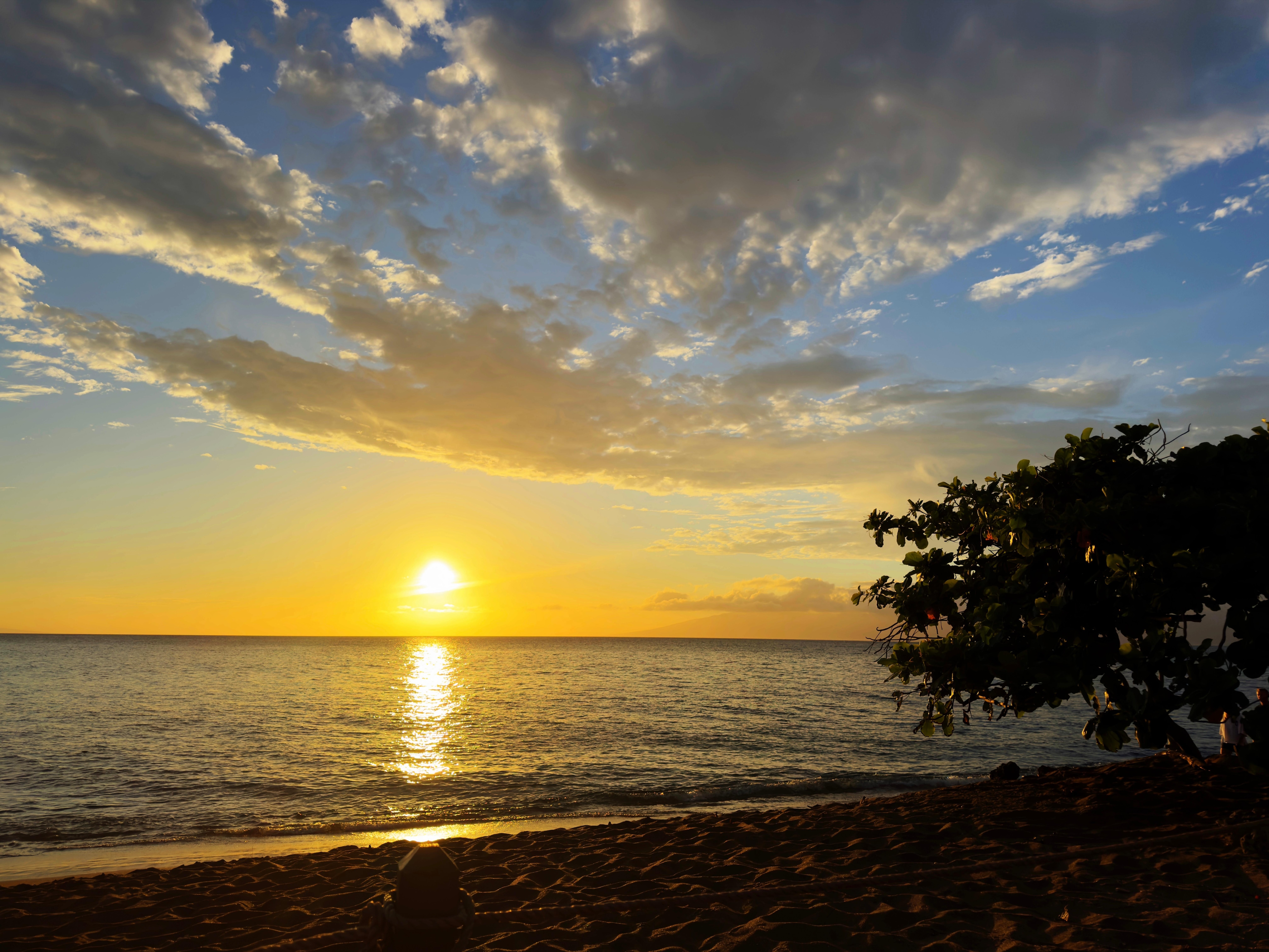 New
Beautiful Sunsets