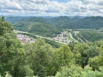 Williamson overlook