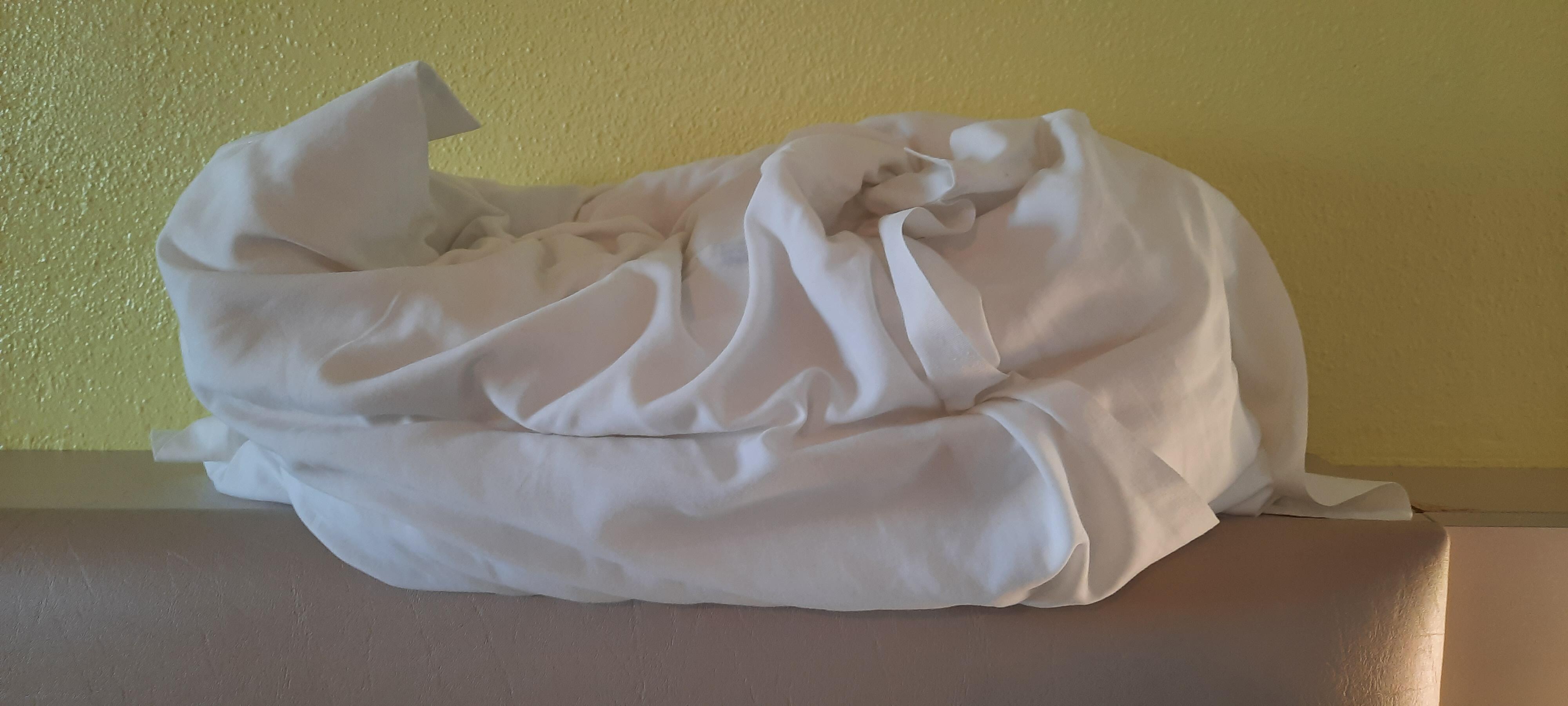 lo que parece una almohada
