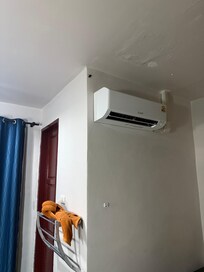 The cockroach that I had mentioned earlier in the review