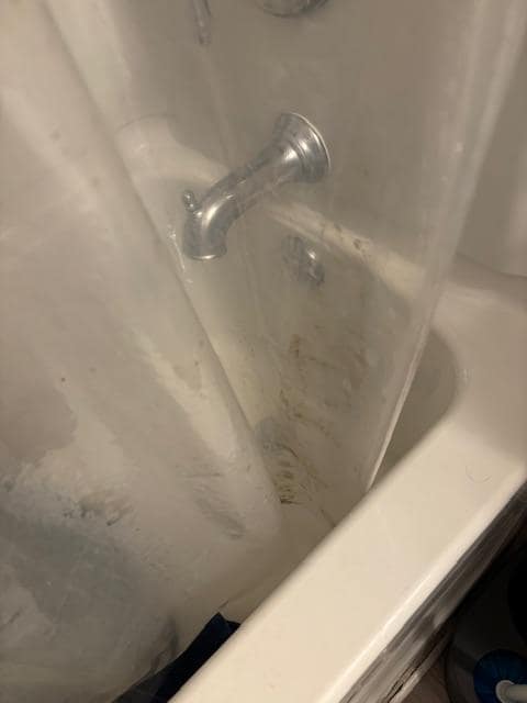 Mildew on shower curtain liner.