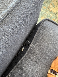 A cleaner couch could be found at goodwill