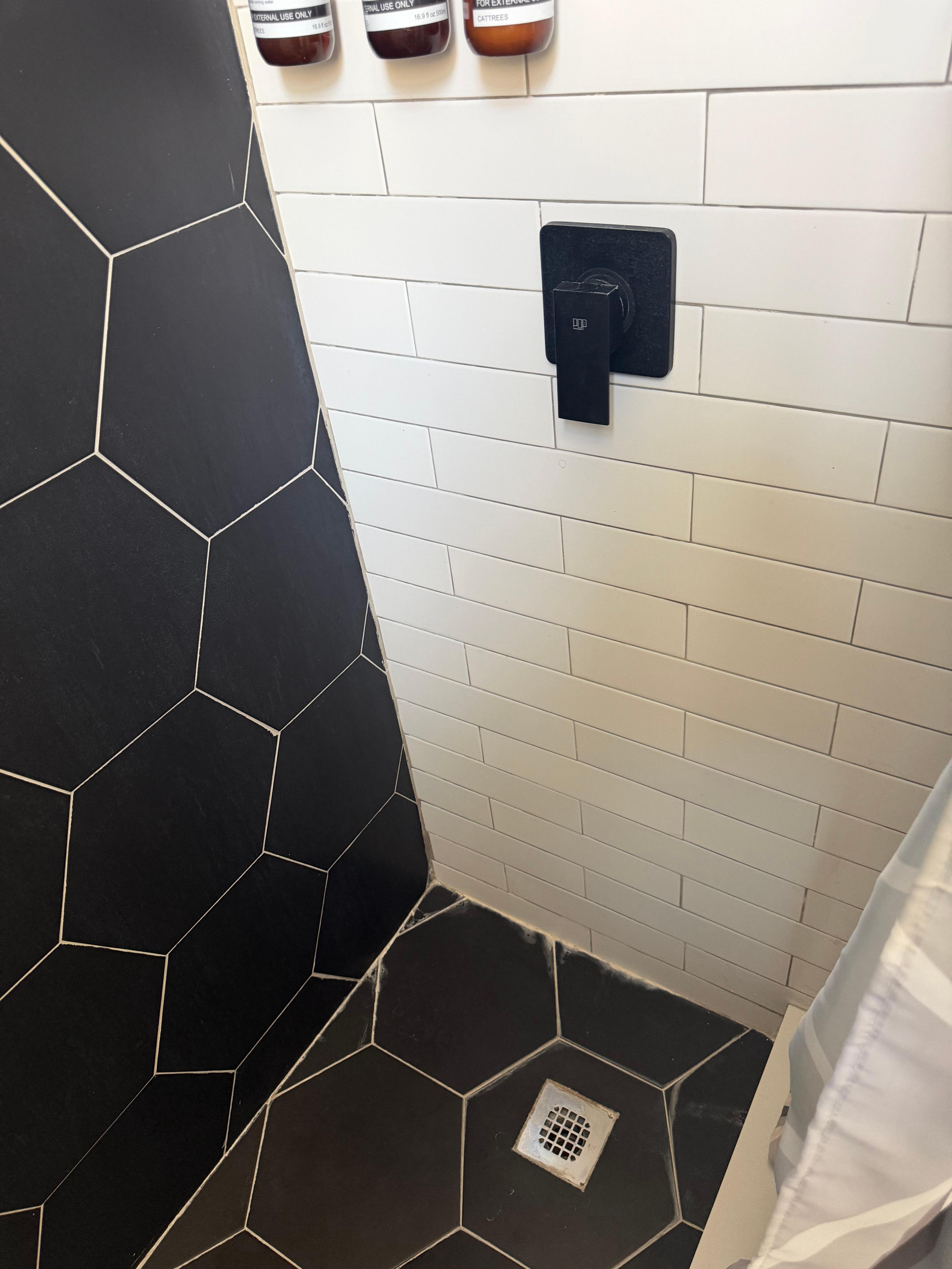 The shower was disgusting as well