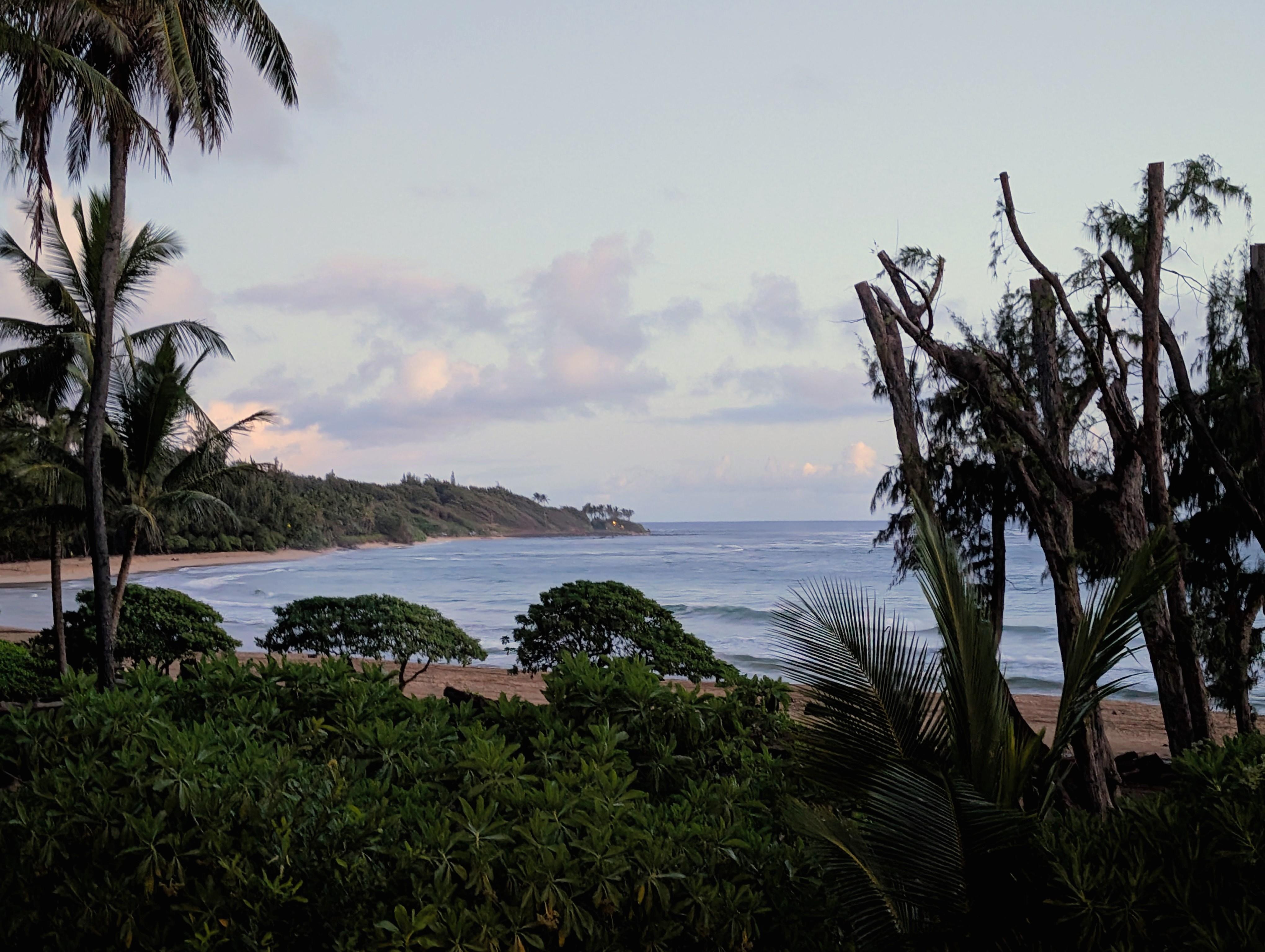 morning view from the balcony