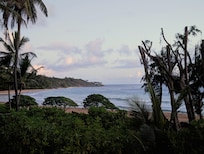 morning view from the balcony
