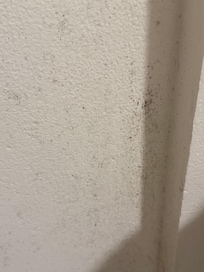 Mold