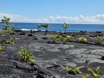 You can walk over rocks to ocean.